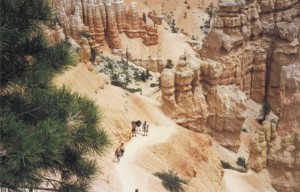 Bryce National Park