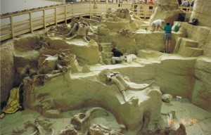 Mammoth Site in Wyoming